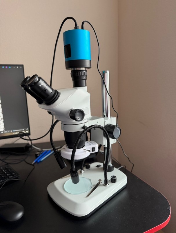 Stereo Microscope